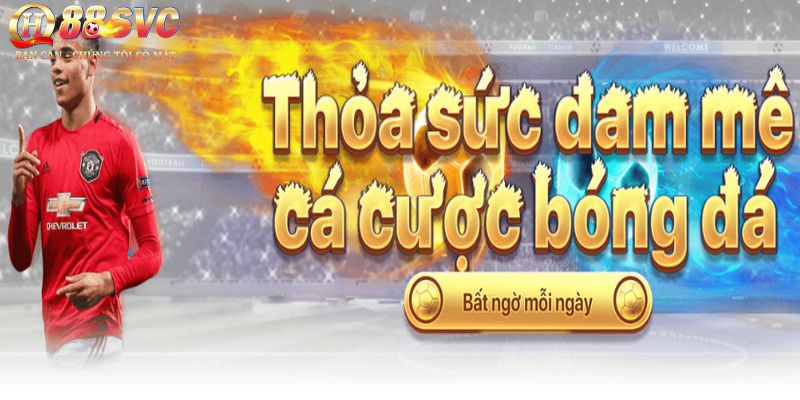 Cách Tham Gia Đặt Cược Tại Sảnh Thể Thao QH88