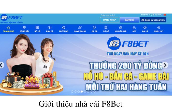 Rút tiền nhanh chóng và an toàn tại F8BET